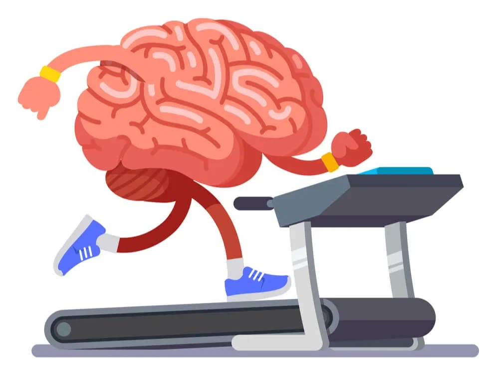 Тренажер для мозга. Упражнения для мозга. Зарядка для мозга. Тренированный мозг. Физкультура и мозг.